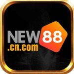 Profile picture of new88cncom