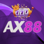 Profile picture of ax88store
