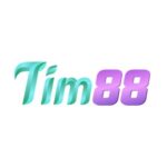 Profile picture of tim88com