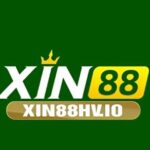 Profile picture of xin88hvio