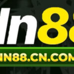 Profile picture of nn88official