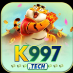 Profile picture of k997tech