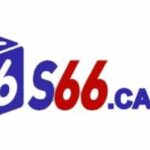 Profile picture of s66casinovn