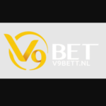 Profile picture of v9bettnl