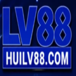 Profile picture of huilv88com